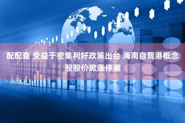 配配查 受益于密集利好政策出台 海南自贸港概念股股价掀涨停潮