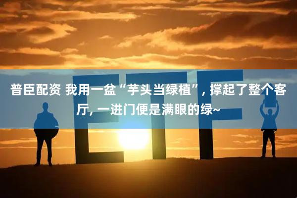 普臣配资 我用一盆“芋头当绿植”, 撑起了整个客厅, 一进门便是满眼的绿~