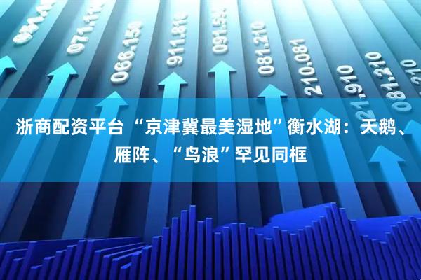 浙商配资平台 “京津冀最美湿地”衡水湖:天鹅、雁阵、“鸟浪”罕见同框